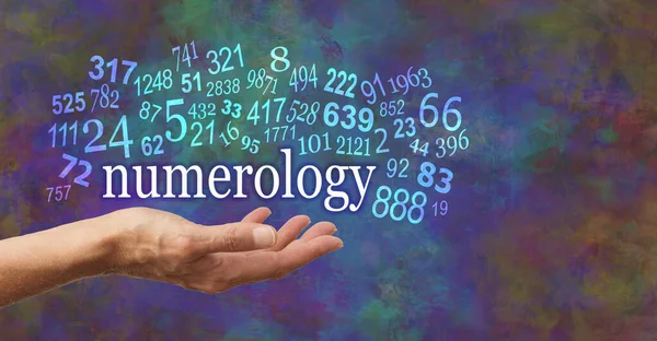 "Numerology Predictions अंकशास्त्र पूर्वानुमान आज, 29 मार्च, 2024: आपका भाग्यशाली अंक आपके बारे में क्या कहता है?!!!"